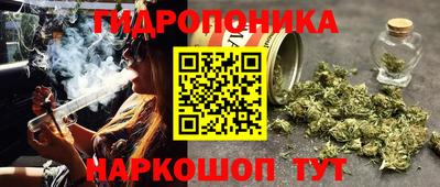 Альфа ПВП Ликино-Дулёво