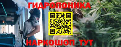 Альфа ПВП Ликино-Дулёво