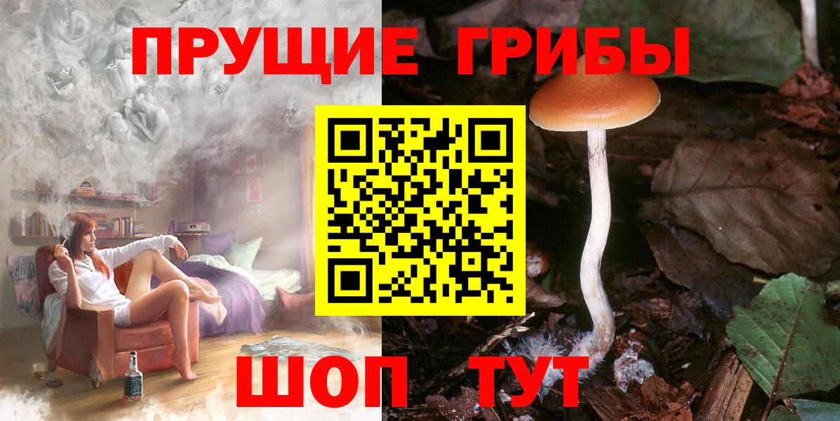 Псилоцибиновые грибы мухоморы Гуково