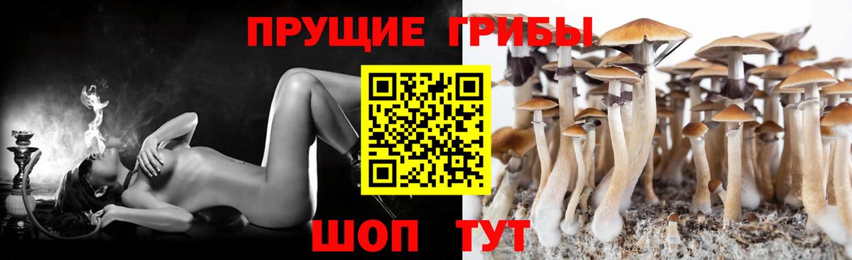 Галлюциногенные грибы MAGIC MUSHROOMS  Псилоцибиновые грибы мухоморы  Вход с VPN  наркота  Гуково 